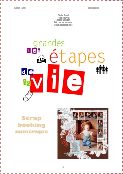 Les grandes étapes de la vie